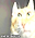 LIS user image