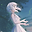 haku01542 user image