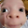 rodggo_21573 user image