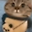 jdnchvbmcj1 user image