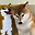9412045 user image