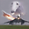 mcsplosion user image