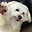 warrenkprince92 user image