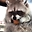 sabaki. user image