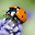 jainadu13 user image