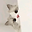 Delik user image