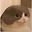 demddaeng user image