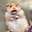 SunShineFlower user image