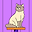 jayden patton user image
