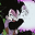 jose gomez user image