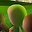 MaxWiiSportsDude user image