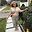 Jaylin Diaz user image