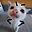 dhskgf dfdsfrsdfg user image