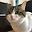 Cat Gaming user image