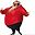 the.habibi user image