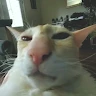 e_ron user image