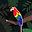شهاب NEW user image