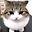 Chloe PESSEMESSE user image