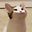 잉 user image