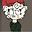 Un Funny user image