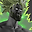 Snipez31 user image