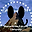 MediaNeilBuchananVideoEditing4328 user image