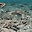 lasagnaman_56592 user image