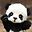 Tatlış PANDA user image