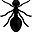 Ants On His Willy user image