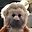 Beau LaWarre user image