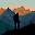 Tamim Ahmad Habibi user image