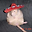 Nicholas Kapel user image
