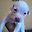 Luis aldahir Garcia Rivera user image