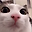 frogger 8365 user image