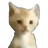 MaverickIsHere user image