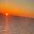 CJone_56 user image