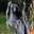 TheRealGrimReaper user image