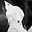 Infiniko user image