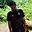 Ramin Momeni user image
