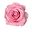 melodi lamb user image