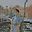 yousssef 2hmed user image