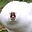 Ratman Epic user image