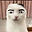 Даниил Романов user image