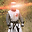 IL Cavalieredecristo user image