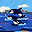 Syaf Rullah user image