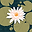 Elif SOLAK user image