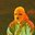 Lil Takumo user image