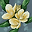SNOWFLAKE OSC | II LIGHTBULB'S PLATONIC WIFE user image