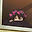 Shahran New02 user image