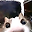 vo1d_s user image